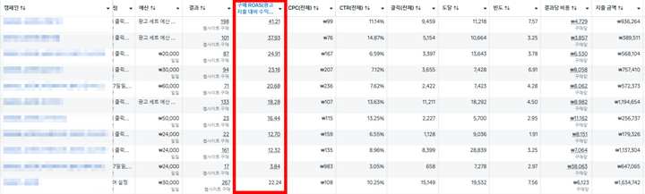 실제 광고계정 구매 ROAS 성과
